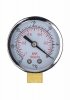 Elite beginner pump with psi gauge - transparent